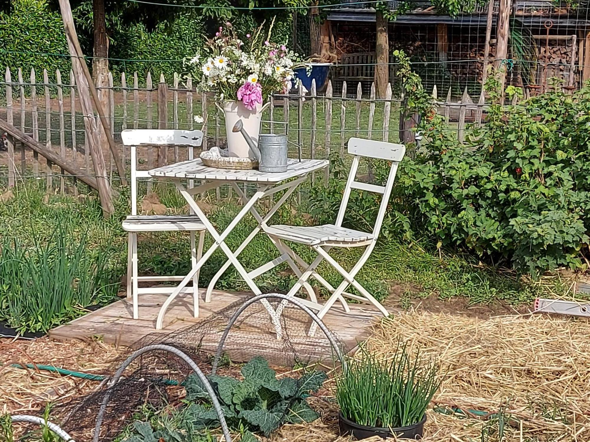 Widdingenhof Bed and Breakfast Wellen Buitenkant foto