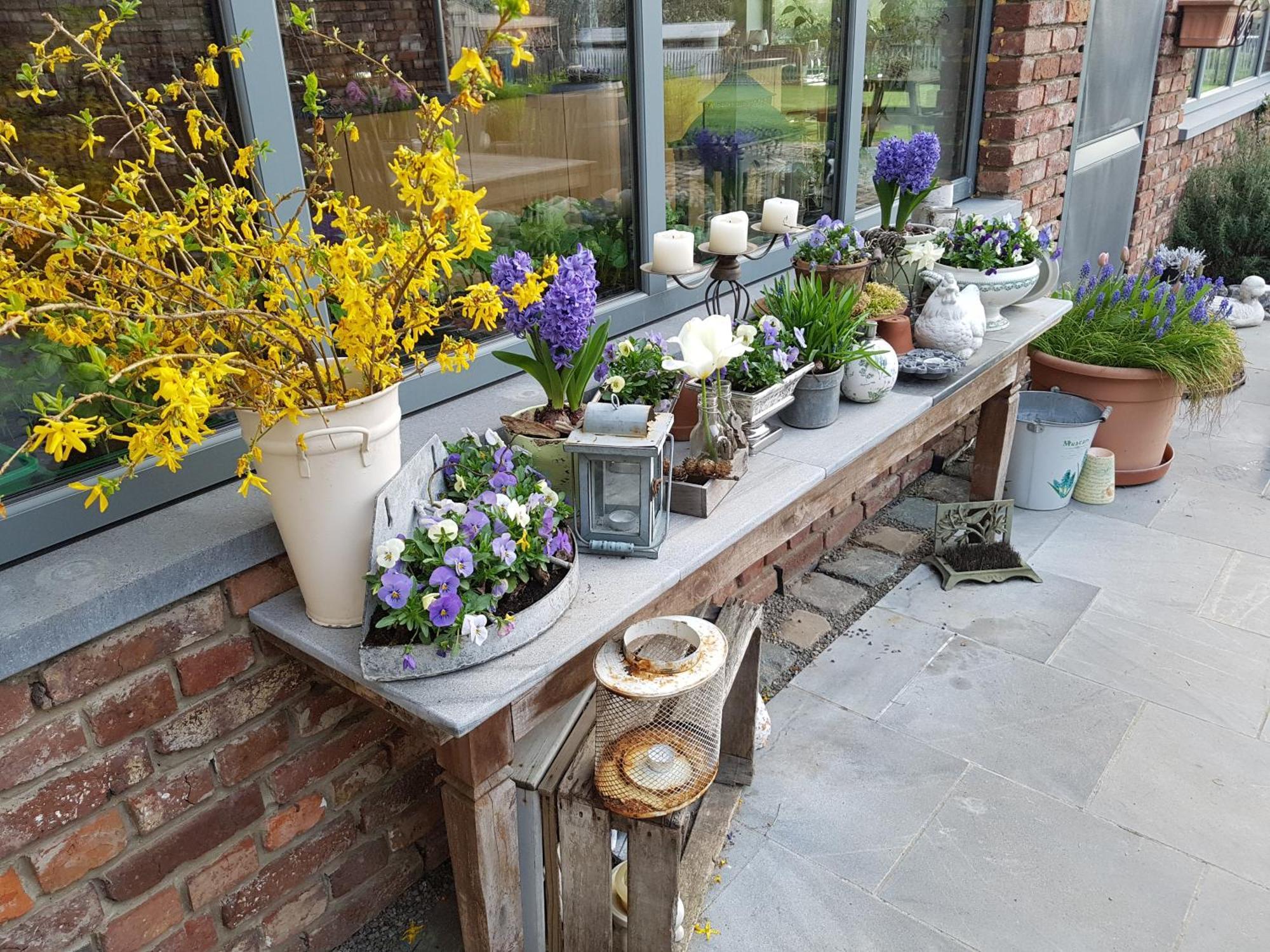Widdingenhof Bed and Breakfast Wellen Buitenkant foto